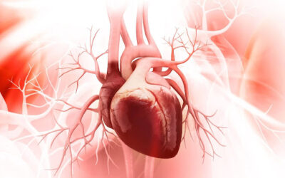 Minimally Invasive Options For High-Risk Heart Surgery