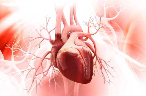Minimally Invasive Options For High-Risk Heart Surgery